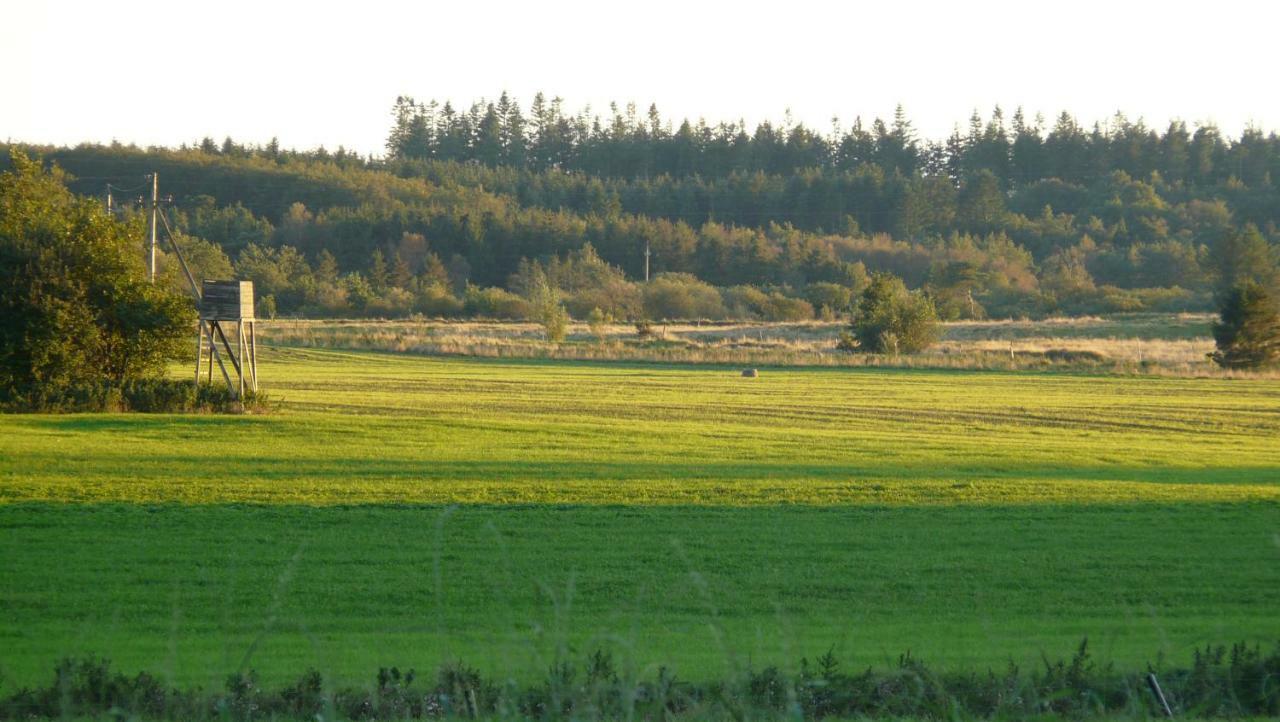 Lynggaard B&B Nibe Zewnętrze zdjęcie
